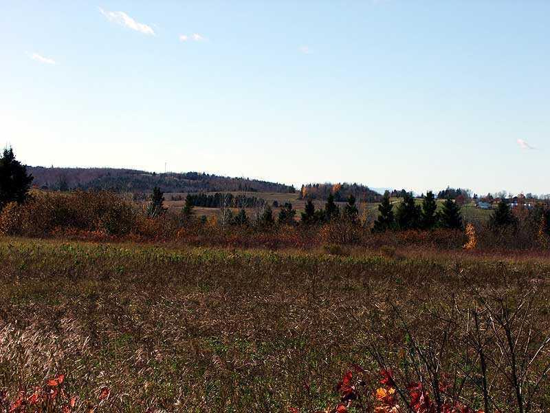 12-29 Lincoln Road Houlton, ME 04730 - Photo 12 of 25 Land.