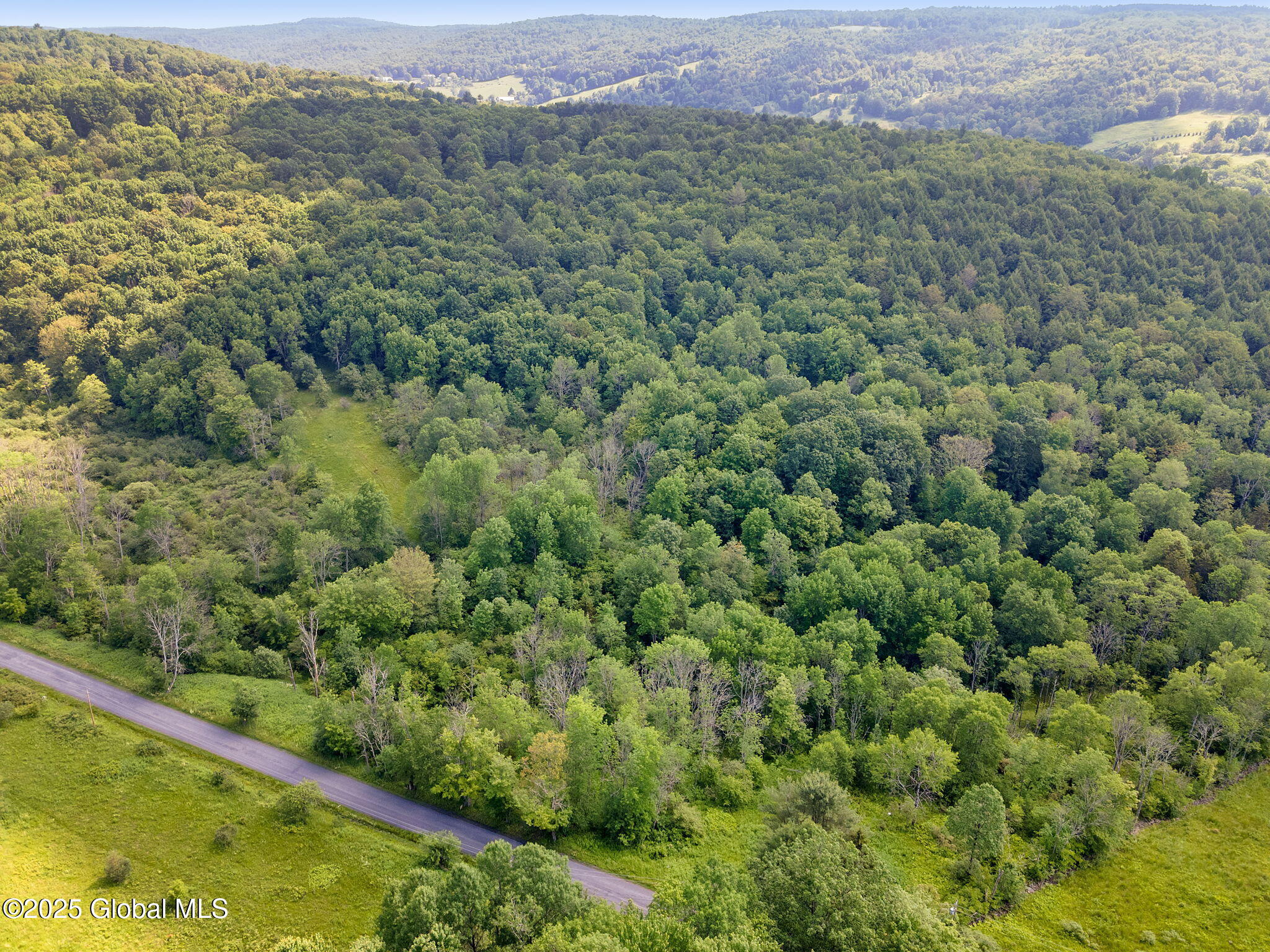 616 Enid Road Summit, NY 12175 - Photo 11 of 24 11-616EnidRd_11 (2)