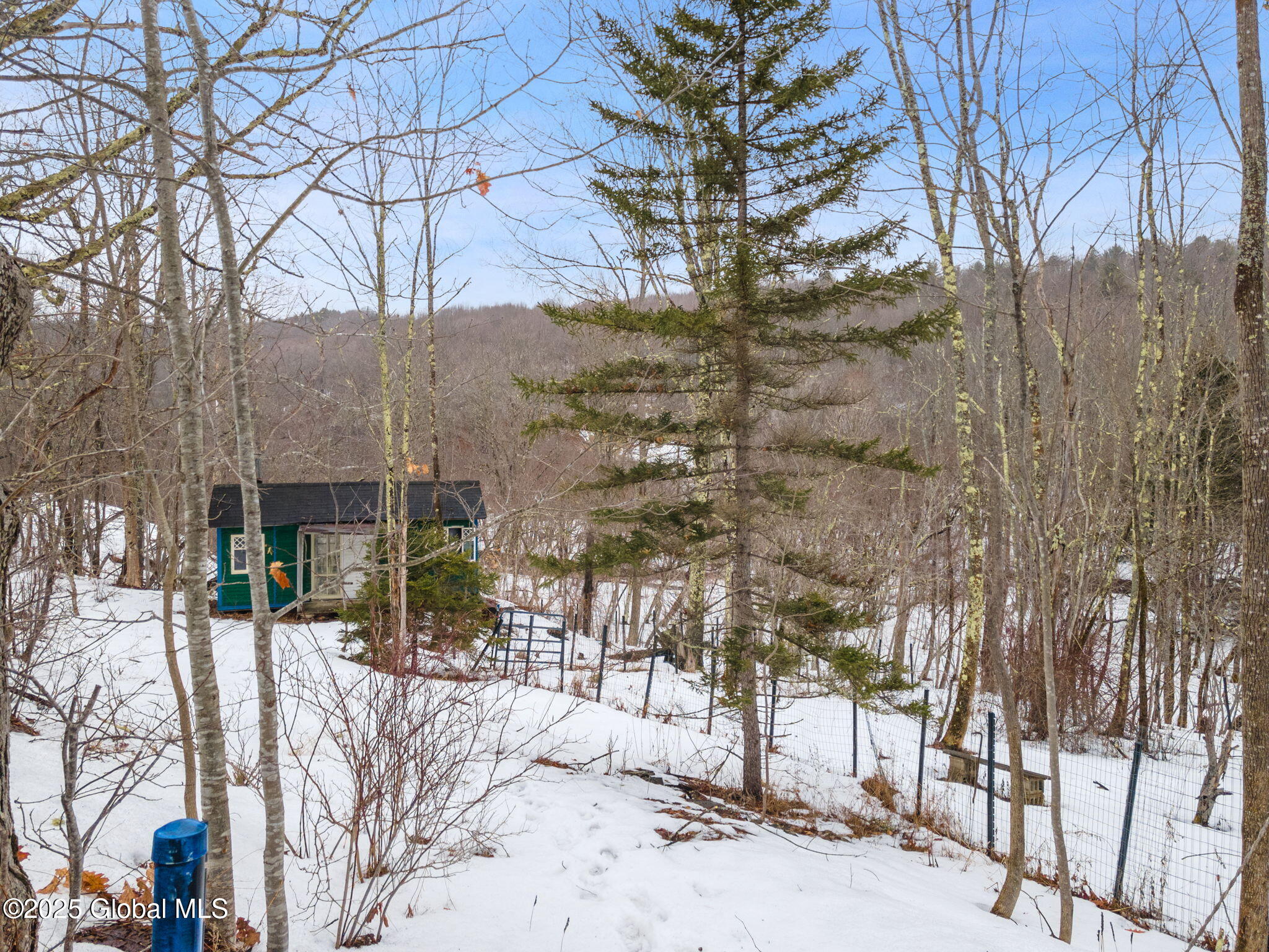 616 Enid Road Summit, NY 12175 - Photo 13 of 24 1-616EnidRd_01