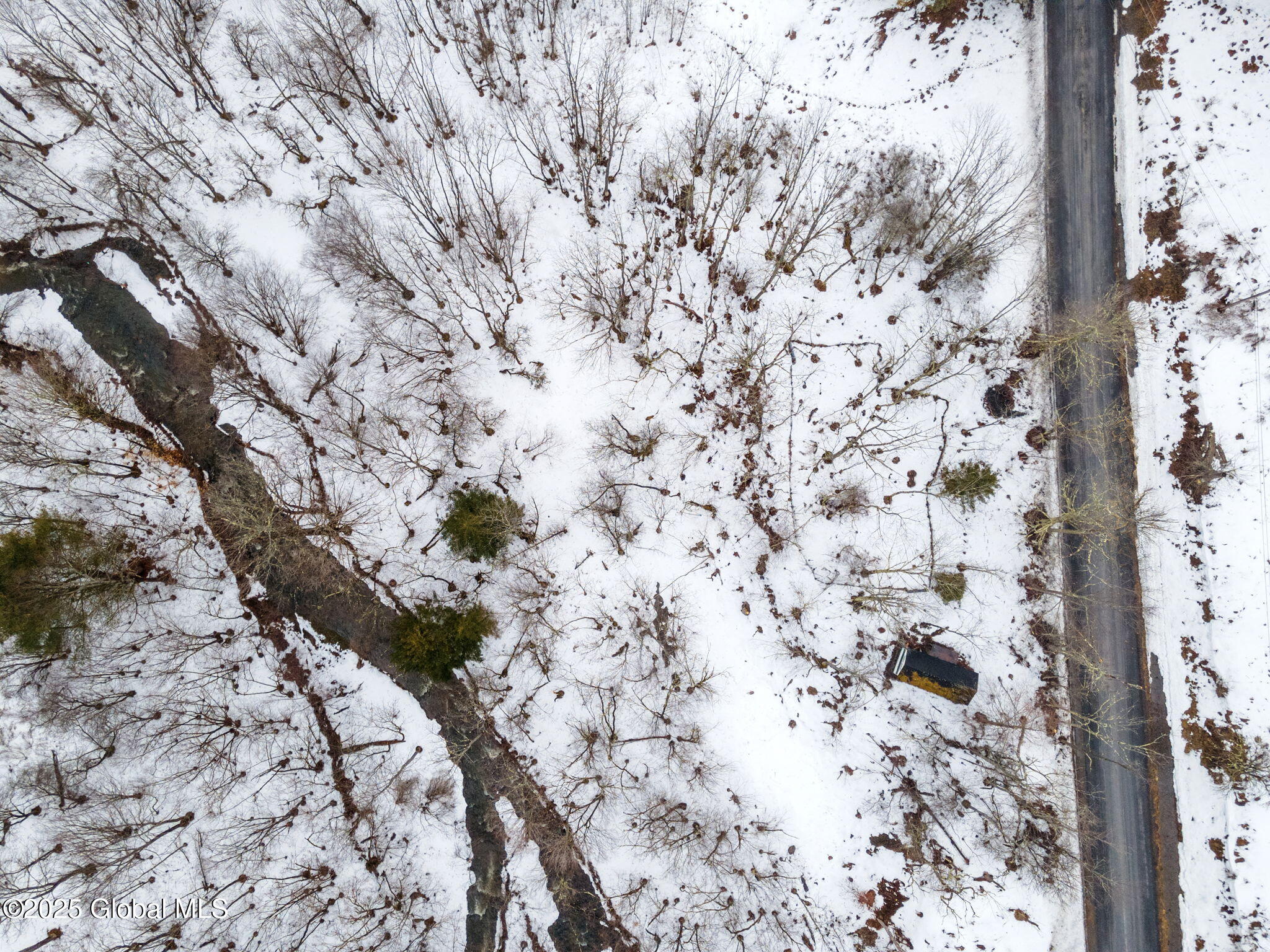 616 Enid Road Summit, NY 12175 - Photo 20 of 24 10-616EnidRd_10