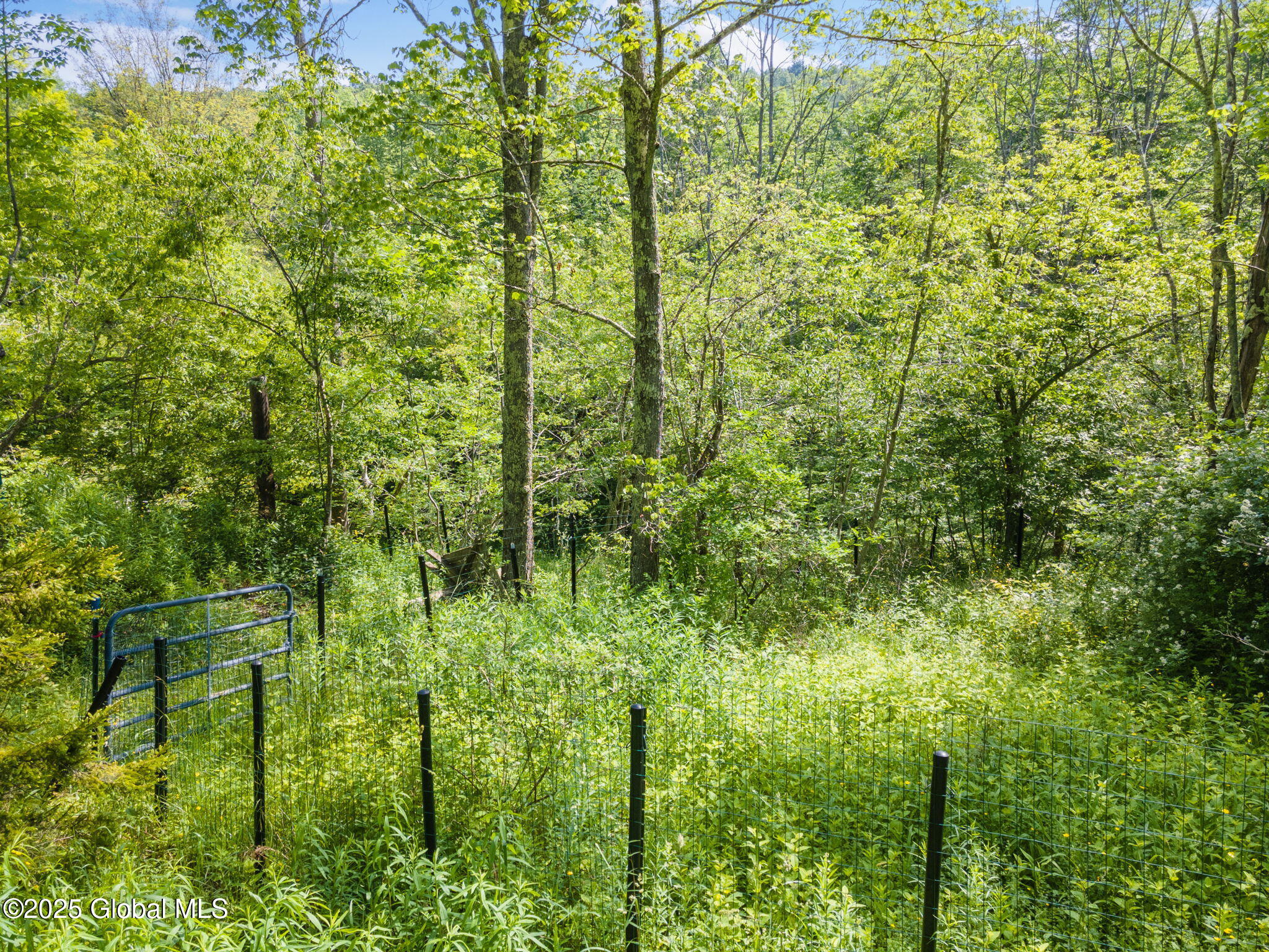 616 Enid Road Summit, NY 12175 - Photo 2 of 24 5-616EnidRd_05 (2)