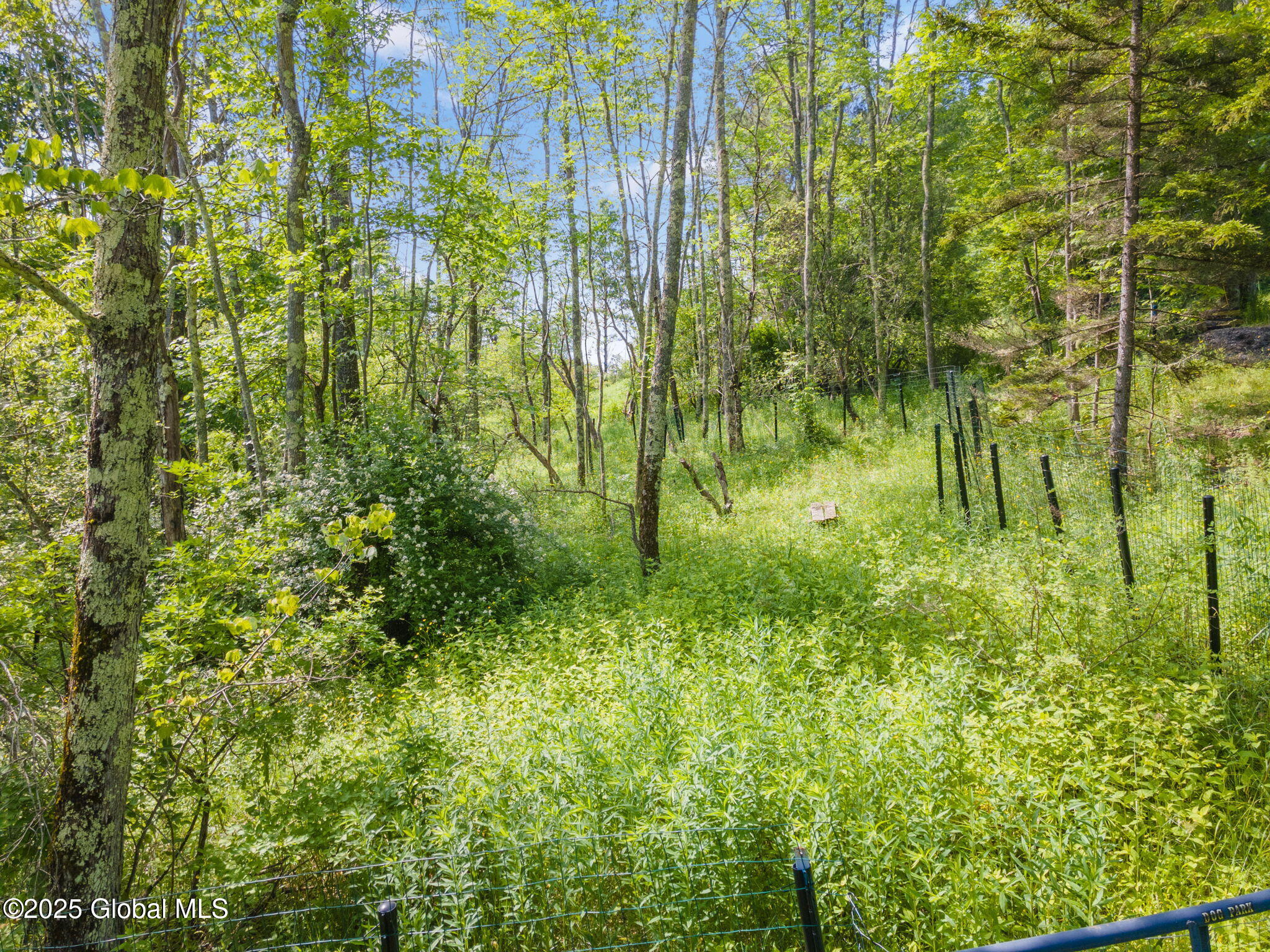 616 Enid Road Summit, NY 12175 - Photo 3 of 24 6-616EnidRd_06 (2)