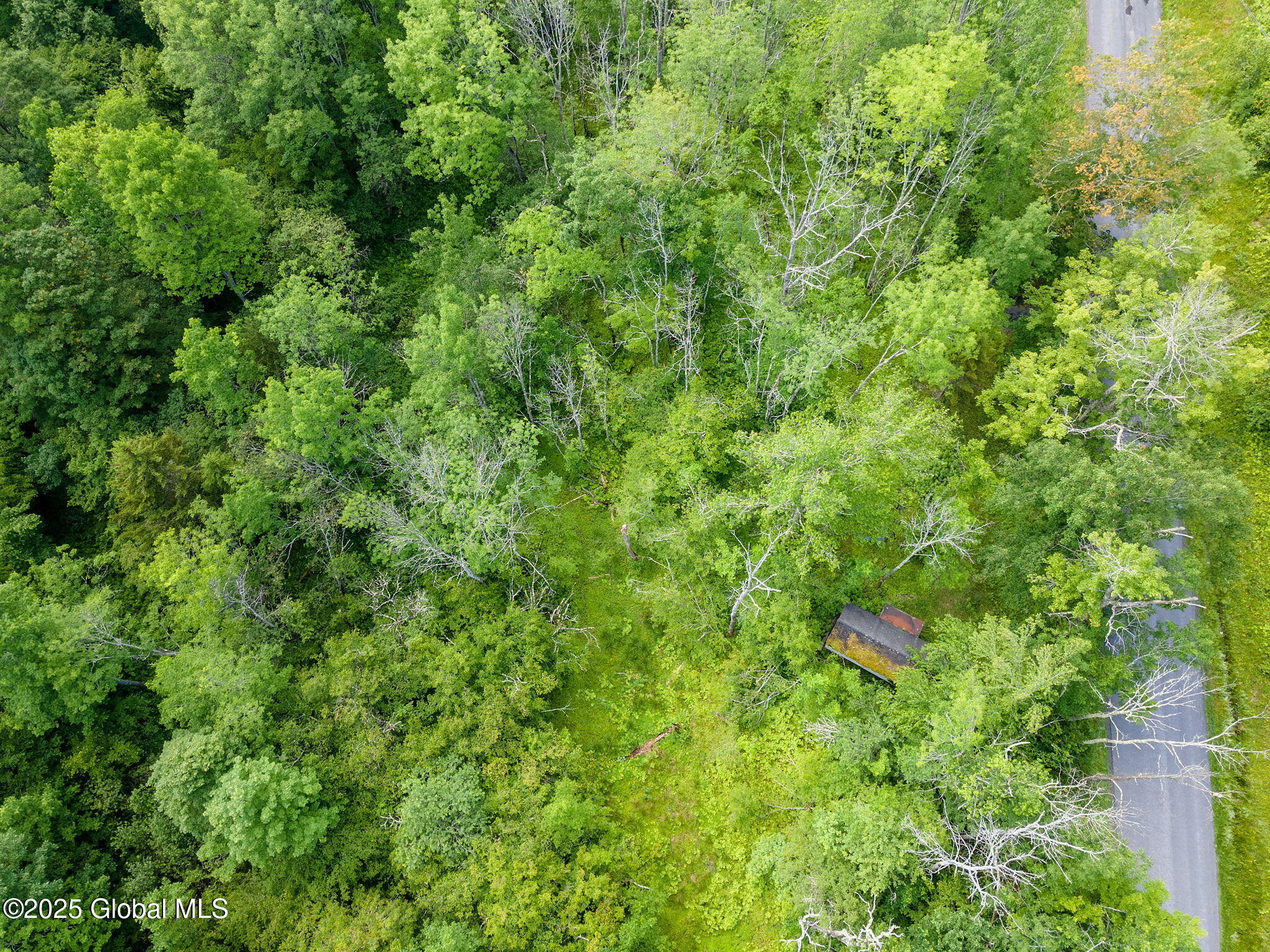 616 Enid Road Summit, NY 12175 - Photo 7 of 24 7-616EnidRd_07 (2)