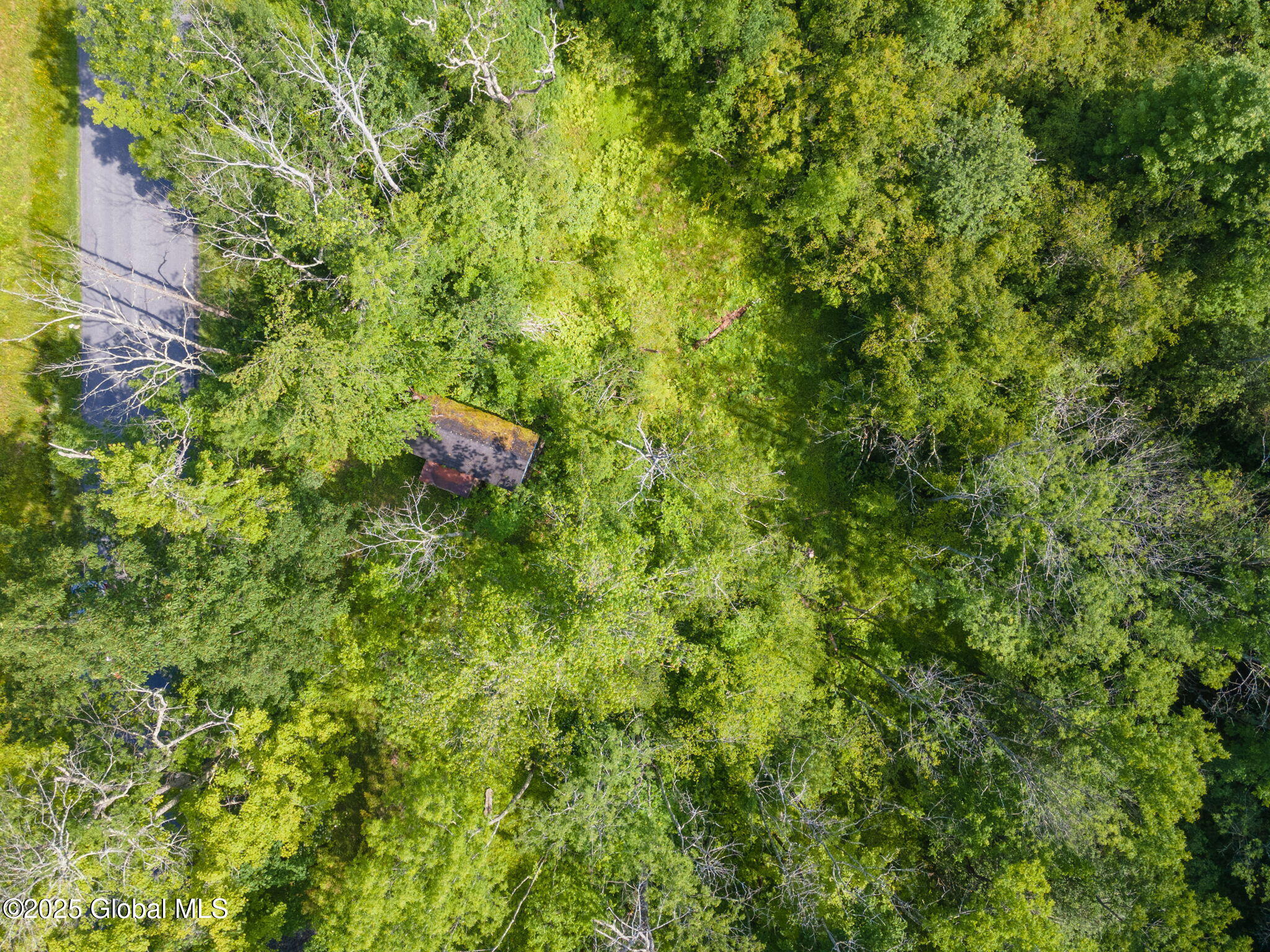 616 Enid Road Summit, NY 12175 - Photo 8 of 24 8-616EnidRd_08 (2)