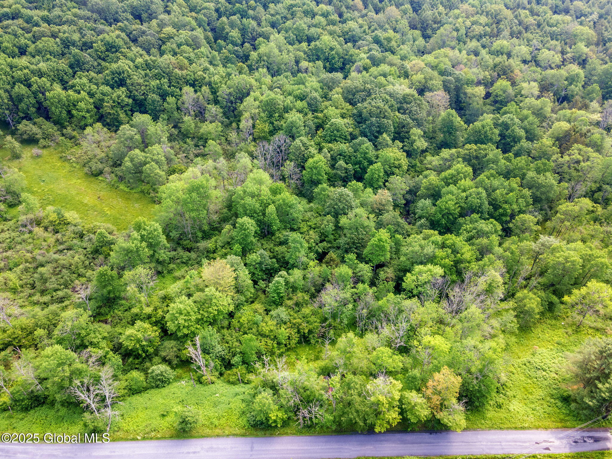 616 Enid Road Summit, NY 12175 - Photo 9 of 24 9-616EnidRd_09 (2)