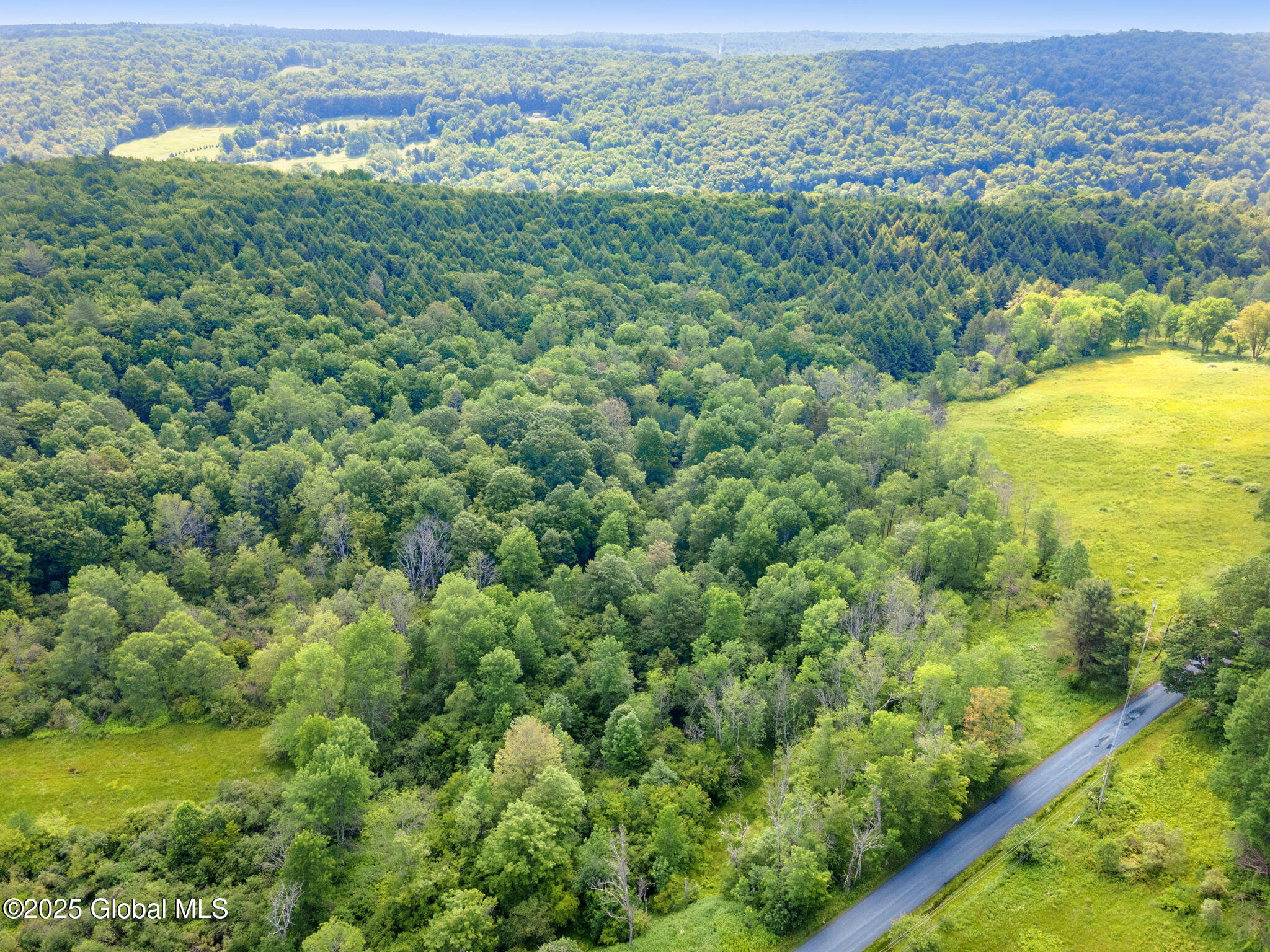 616 Enid Road Summit, NY 12175 - Photo 10 of 24 10-616EnidRd_10 (2)