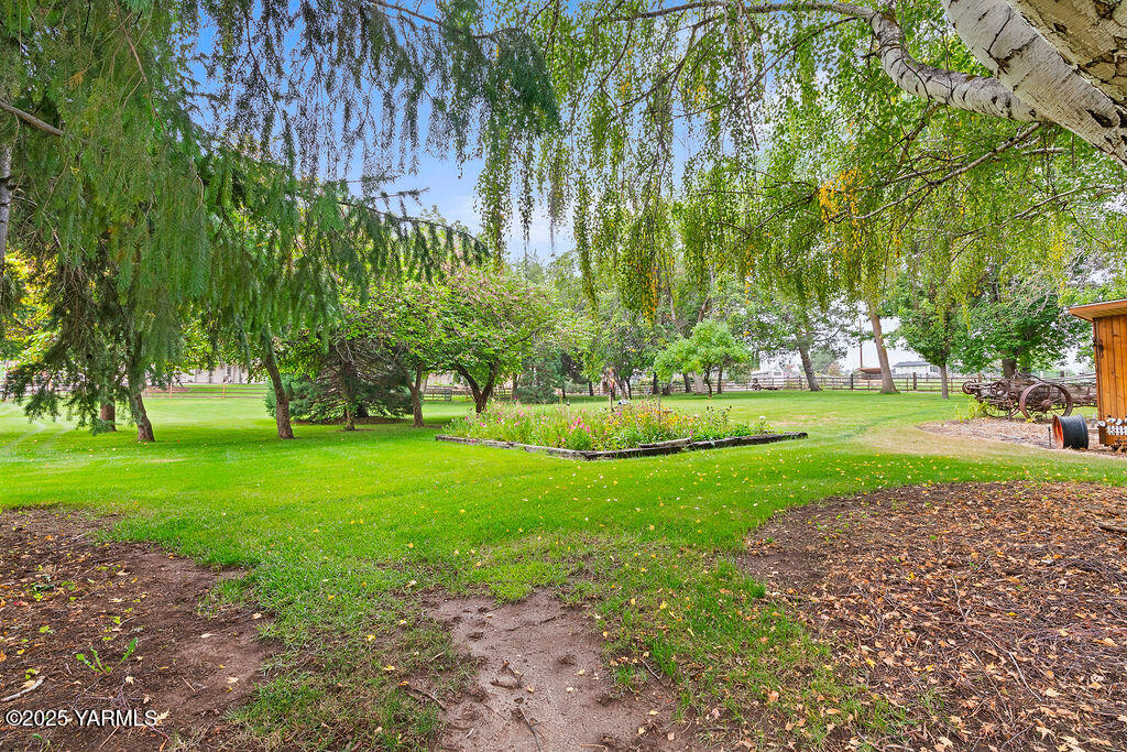 250 Hexon Road Selah, WA 98942 - Photo 49 of 50 a view of a park with large trees