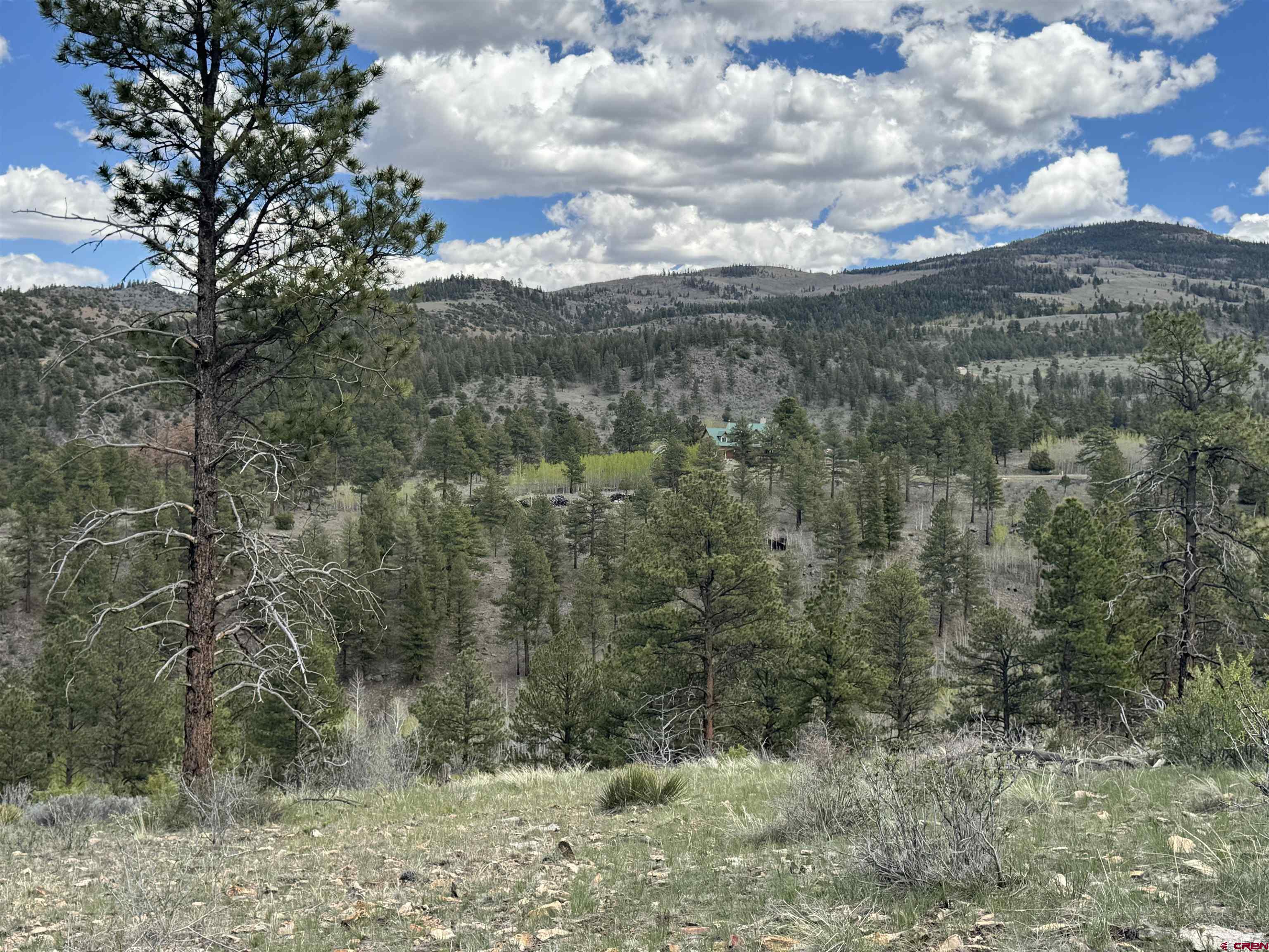 150 Rickel Circle South Fork, CO 81154 - Photo 2 of 11