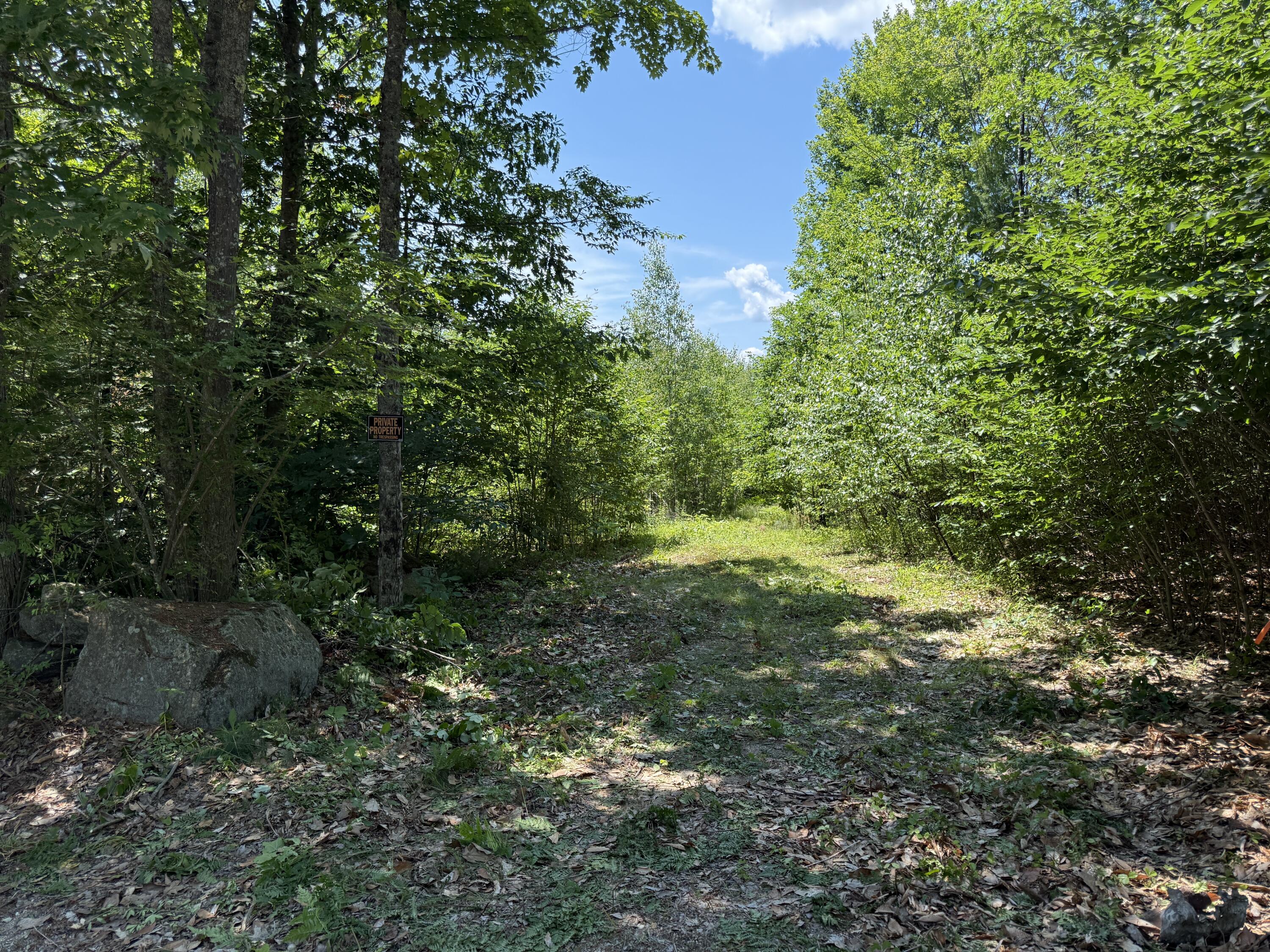 0 Maplewood Road West Newfield, ME 04095 - Photo 2 of 6 IMG_3090