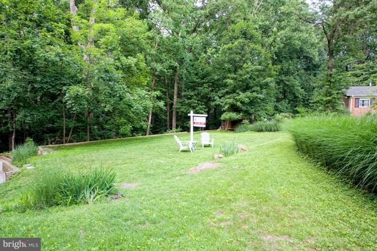 429 Branch Drive Silver Spring, MD 20901 - Photo 18 of 30 Exterior (Rear)