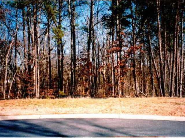 5295 Kendalls Way Cumming, GA 30041 - Photo 1 of 1 a view of a yard covered with snow in the background