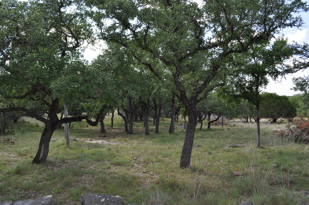 541 Rough Hollow Road Johnson City, TX 78636 - Photo 21 of 30 Gallery Image 21