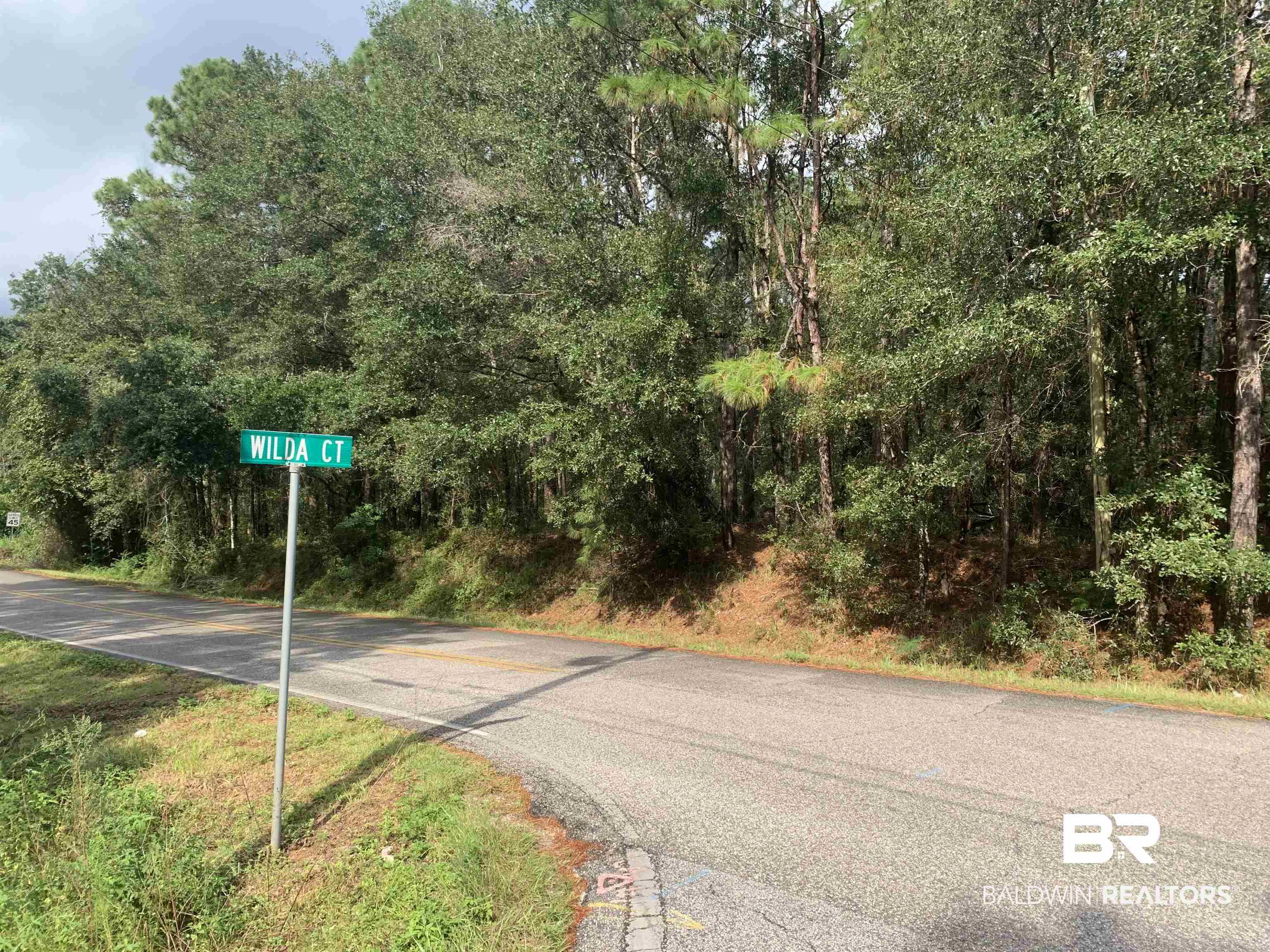 1 Danne Road Fairhope, AL 36532 - Photo 1 of 2 Facing Danne Rd