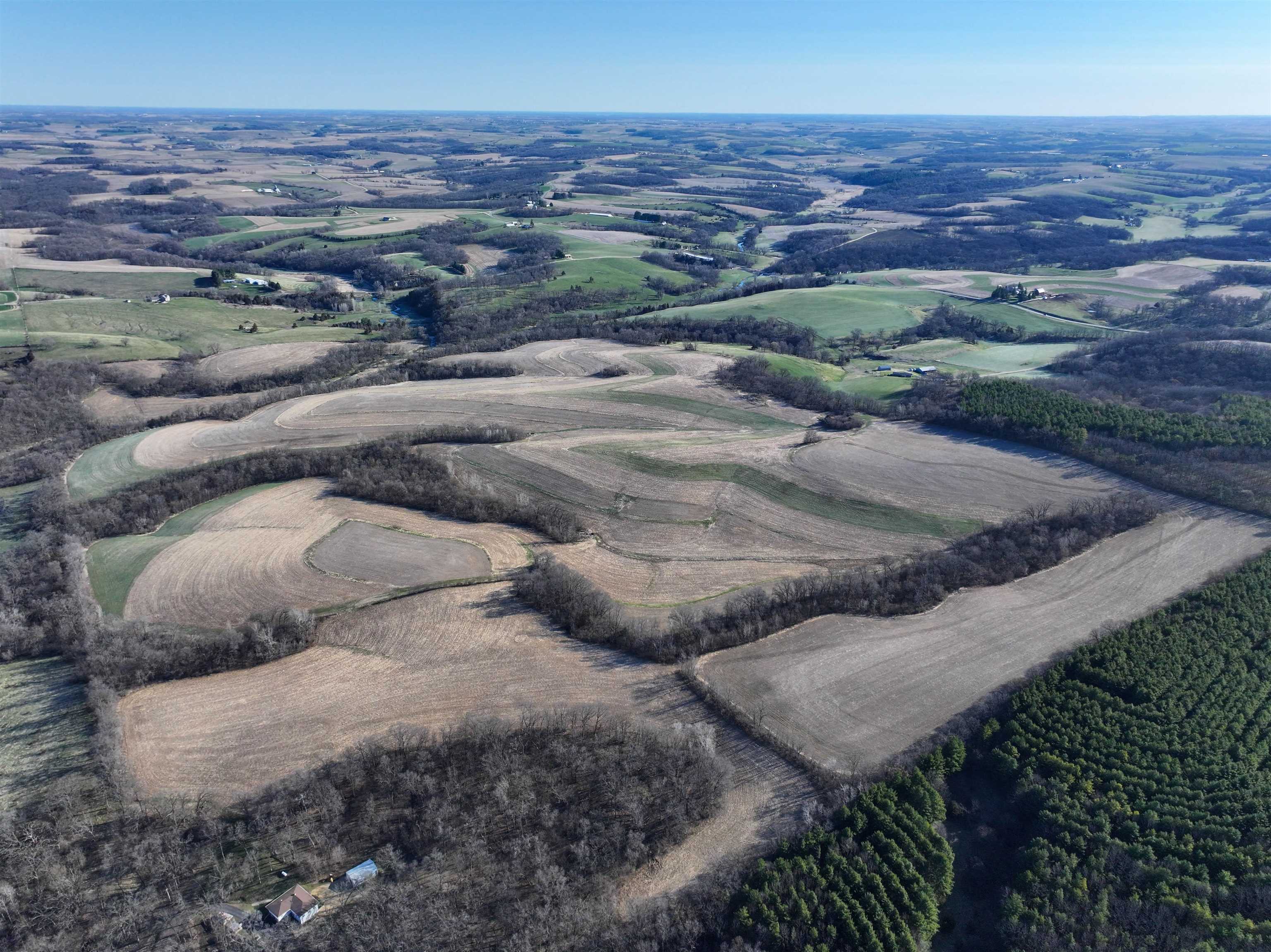 229.98-acres Whitcomb Lane Lancaster, WI 53813 - Photo 10 of 57