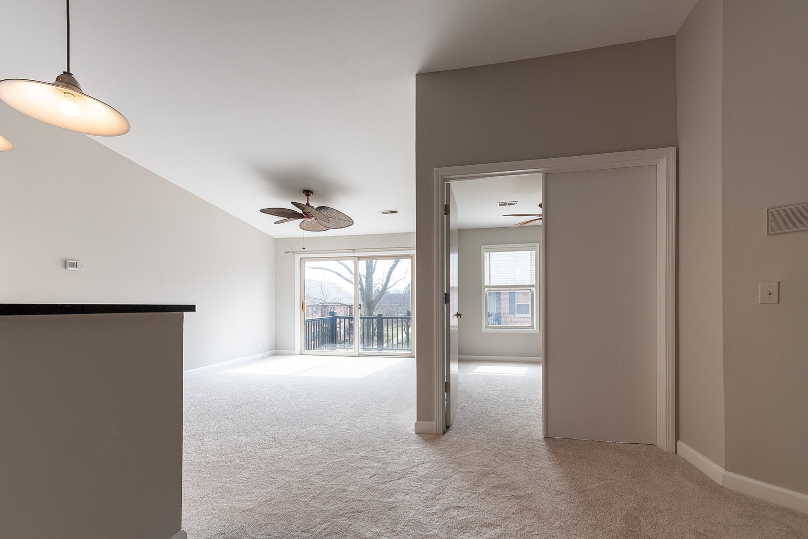 1340 McDowell Road, Unit 204 Naperville, IL 60563 - Photo 7 of 12