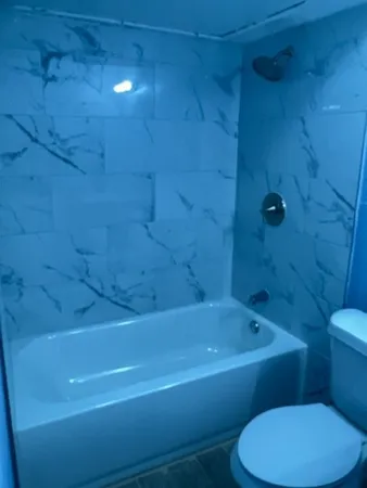 a bathroom with a toilet and a bathtub