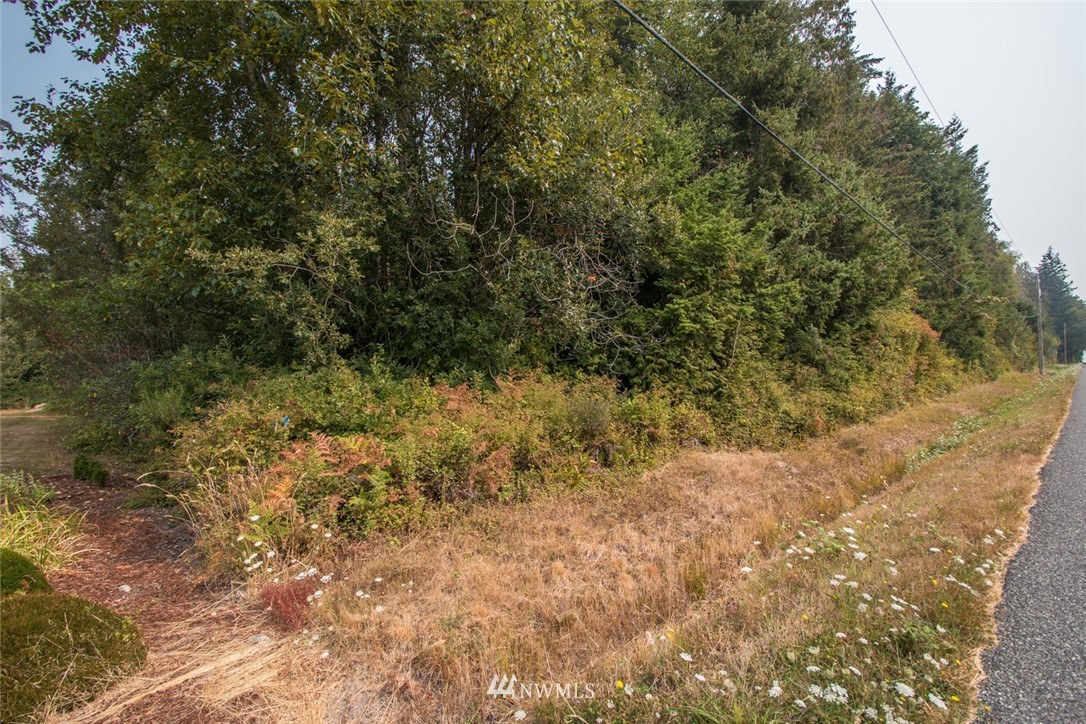 0 Halloran Road Bow, WA 98232 - Photo 1 of 9 Gallery Image 1