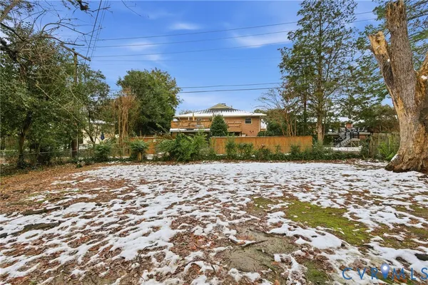 a view of a yard with plants and trees