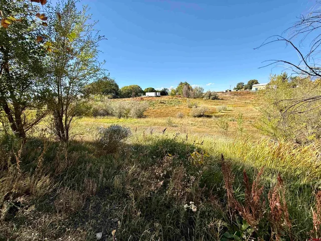 a view of a large building with a mountain in the background