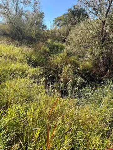 a view of a yard of a building