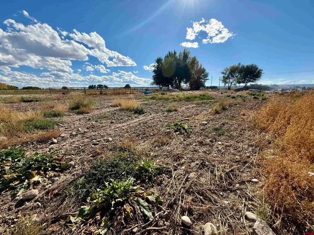 a view of a yard with an empty space and a lake view