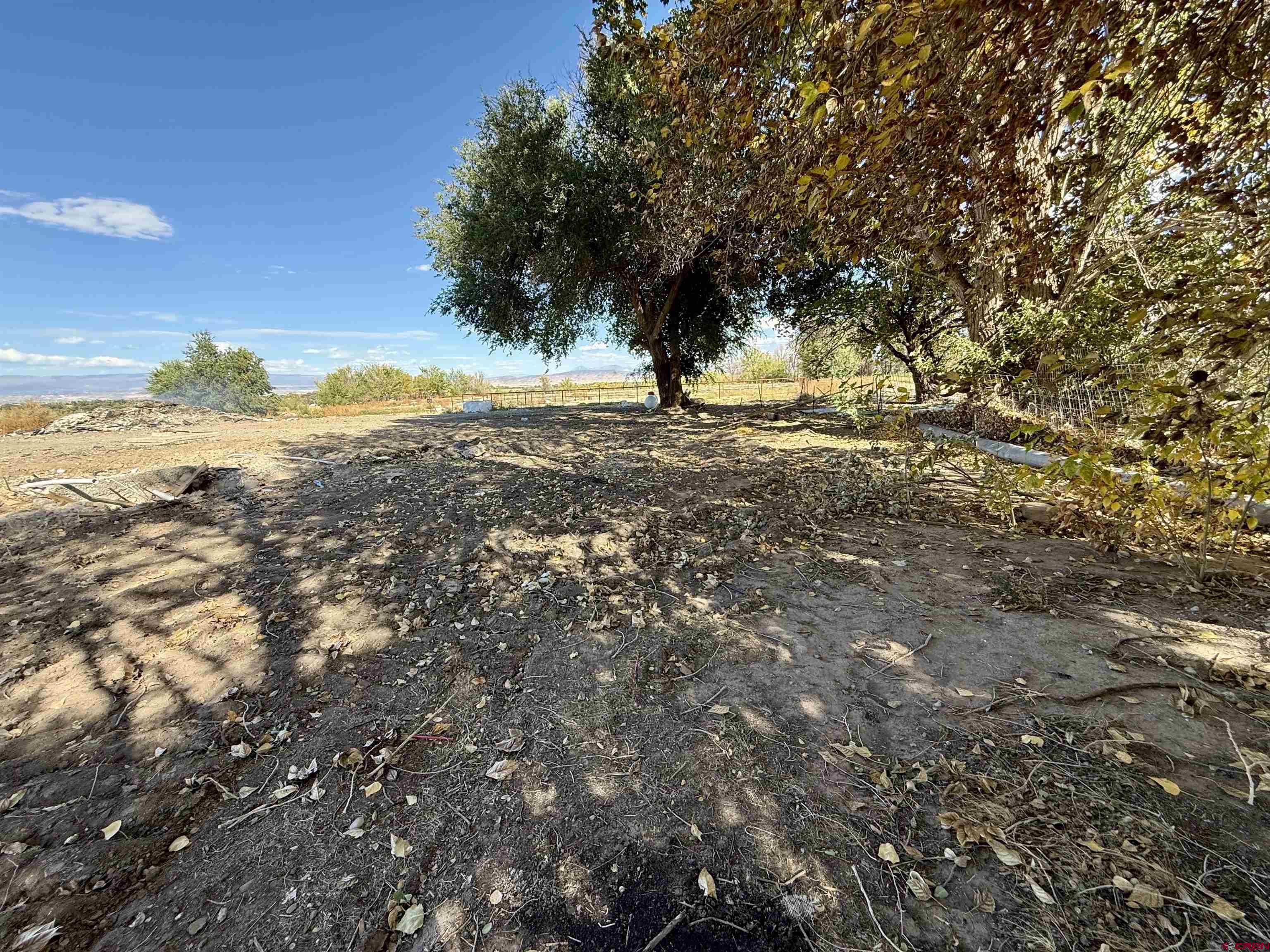 3726 5500th Road Olathe, CO 81425 - Photo 25 of 28 a view of a yard with a tree