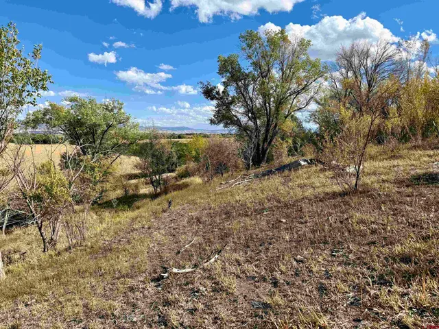 a view of a yard with wooden fence