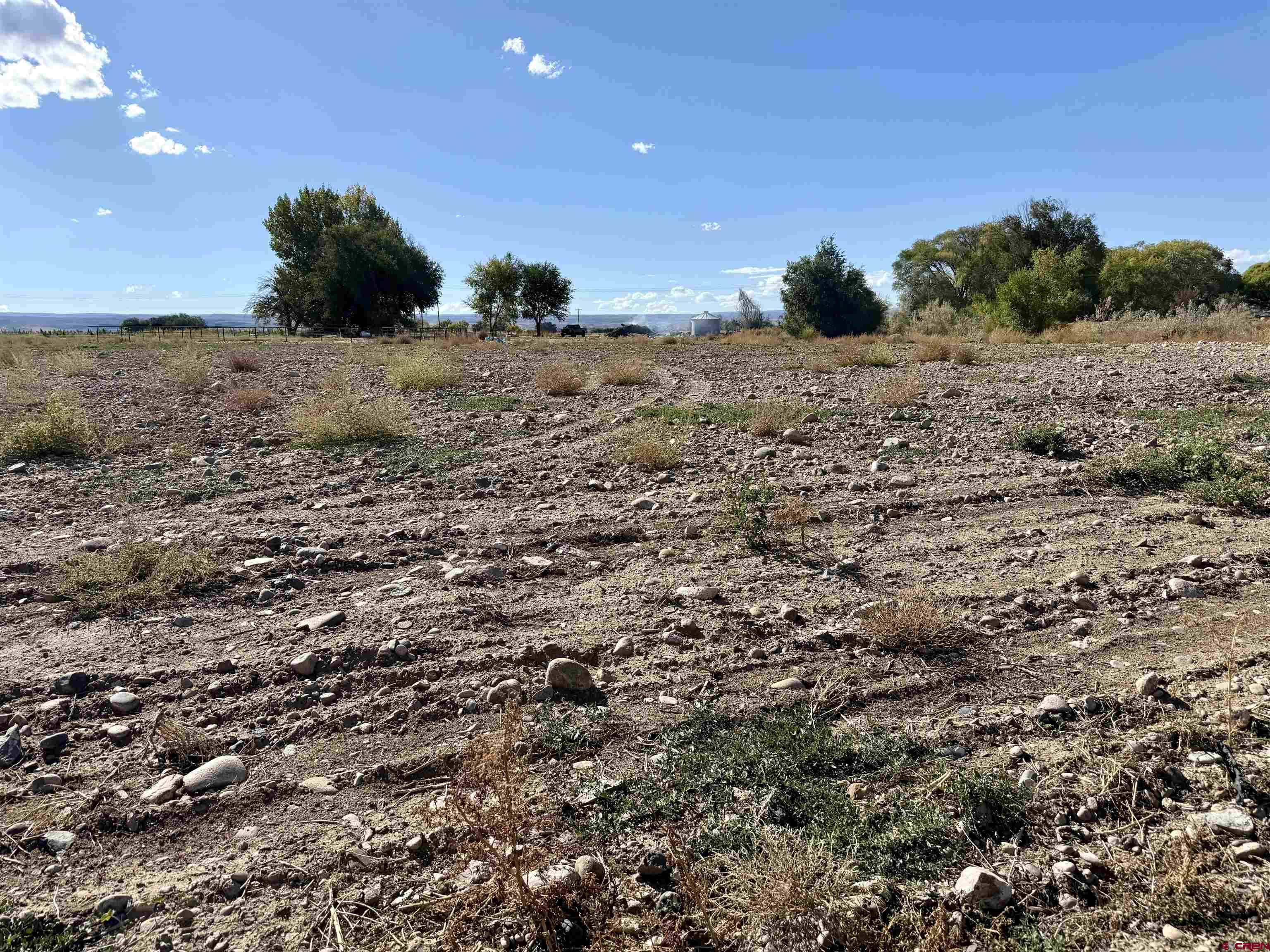 3726 5500th Road Olathe, CO 81425 - Photo 5 of 28 a view of a dry yard with wooden fence