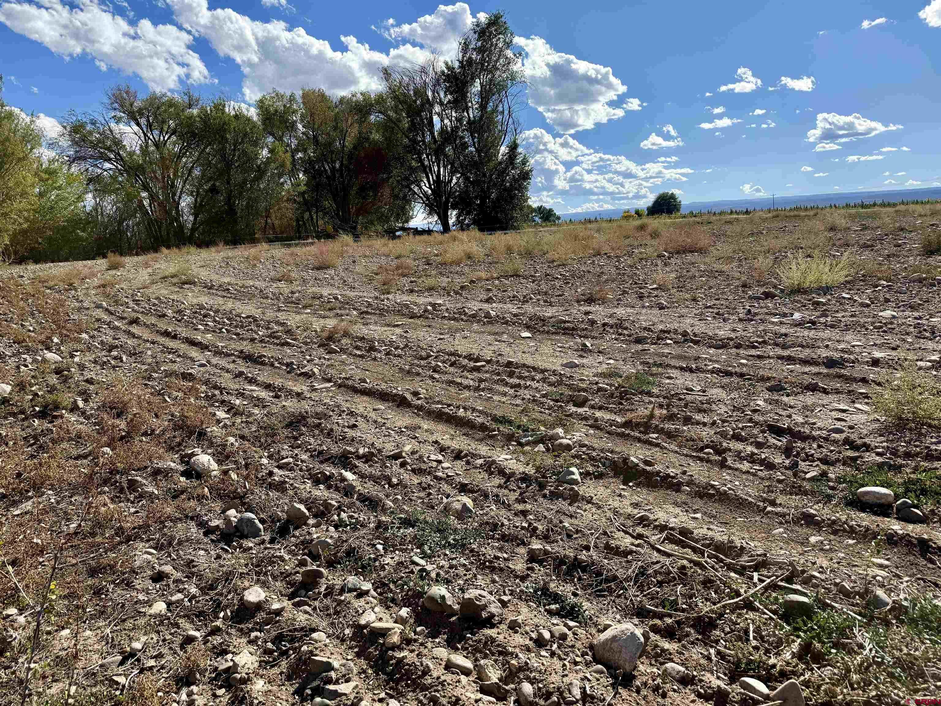 3726 5500th Road Olathe, CO 81425 - Photo 6 of 28 a view of beach and yard