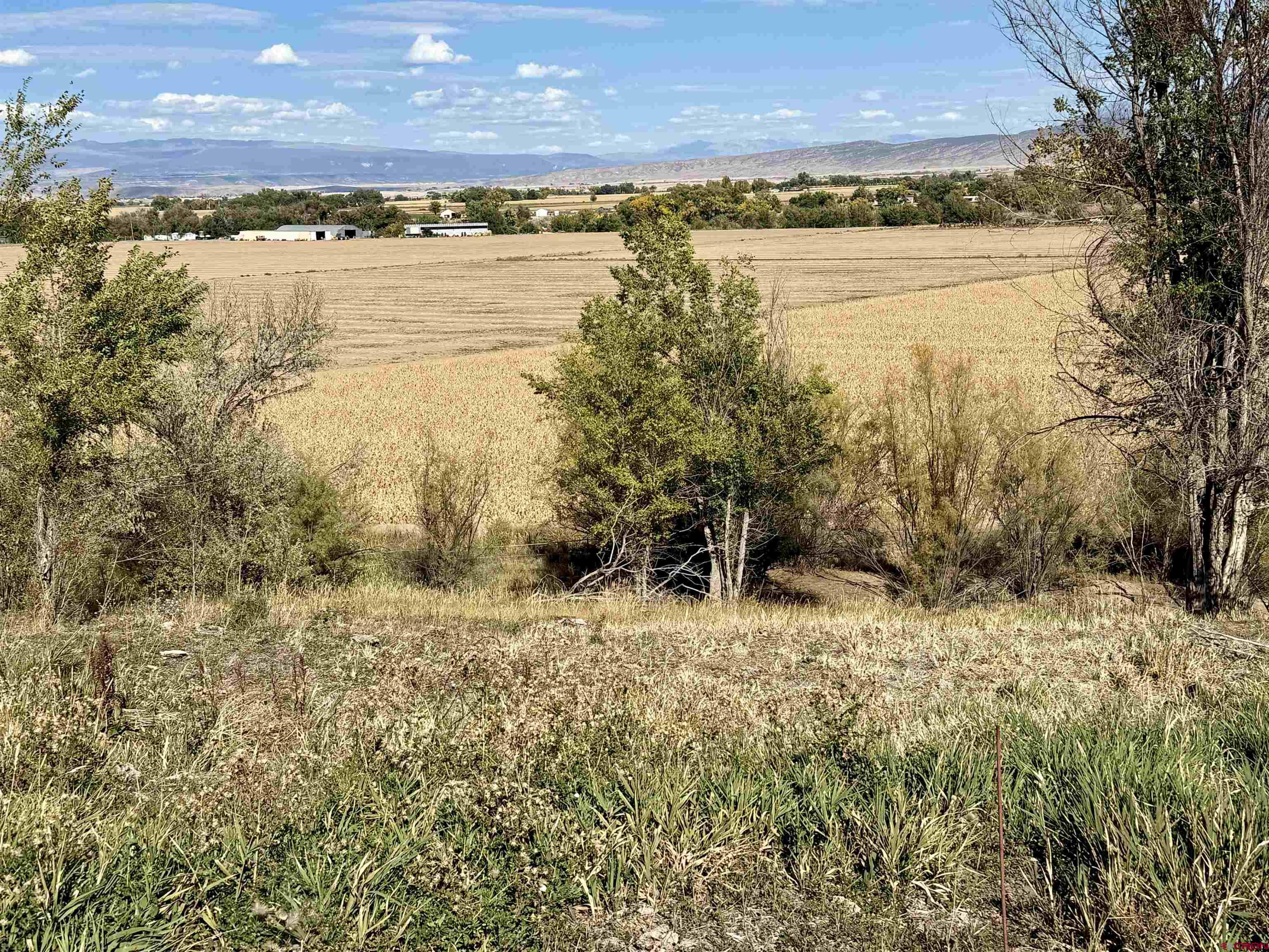 3726 5500th Road Olathe, CO 81425 - Photo 8 of 28 a view of an ocean beach