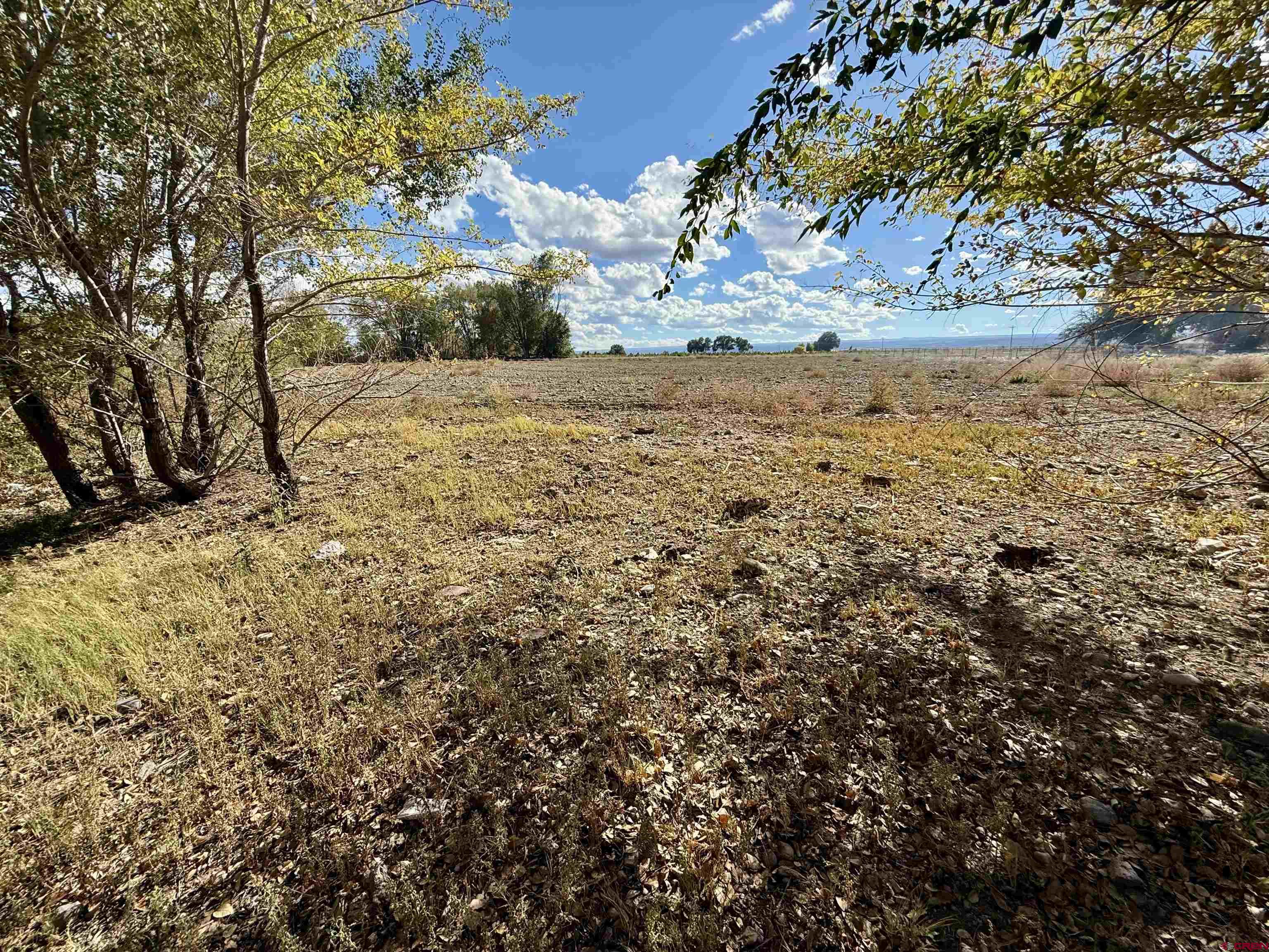 3726 5500th Road Olathe, CO 81425 - Photo 9 of 28 a view of beach and yard
