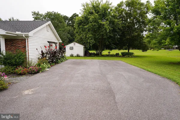 a backyard of a house with plants and large trees