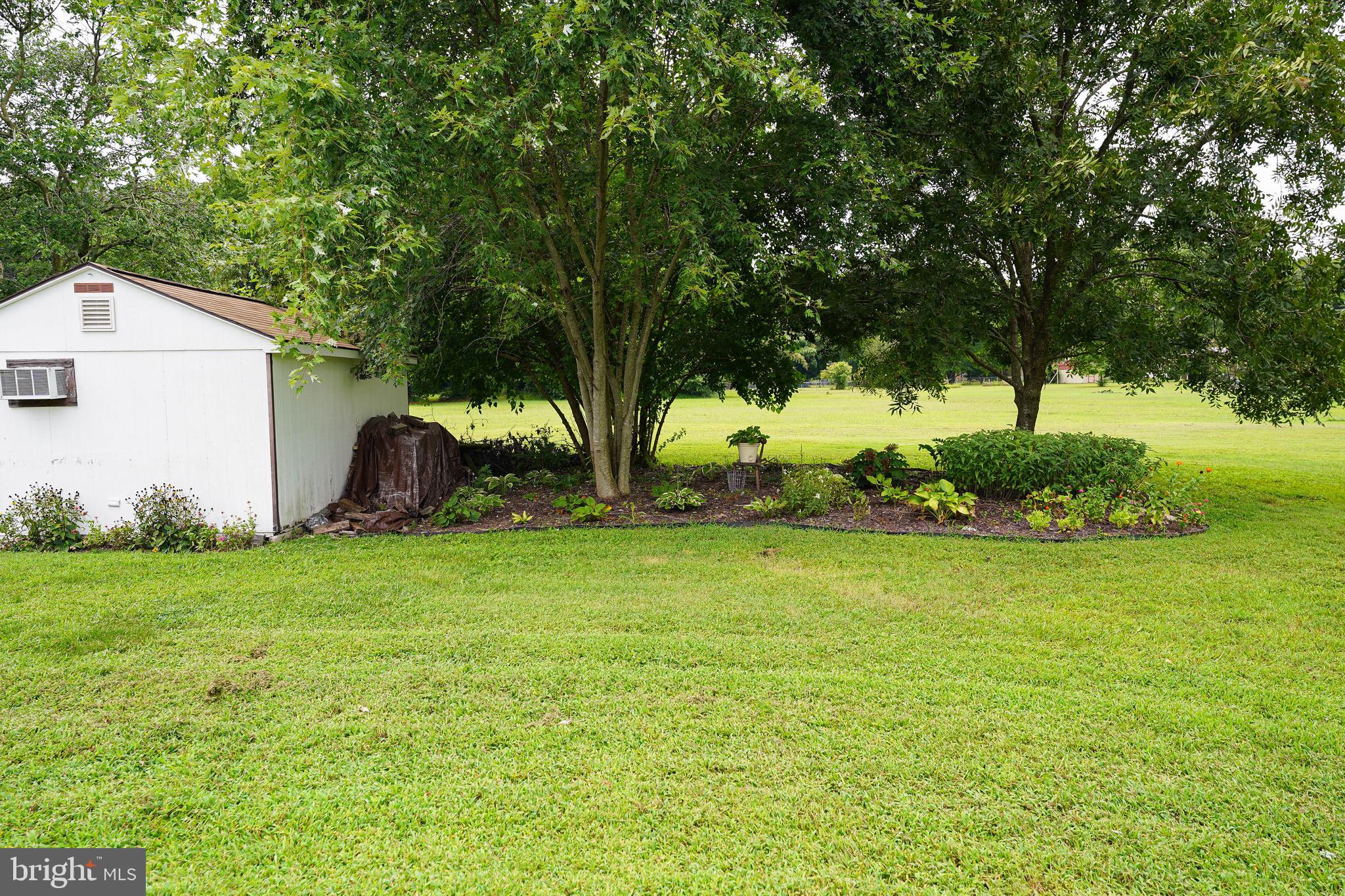 7209 Opal Circle Hebron, MD 21830 - Photo 13 of 41 a backyard of a house with plants and large trees