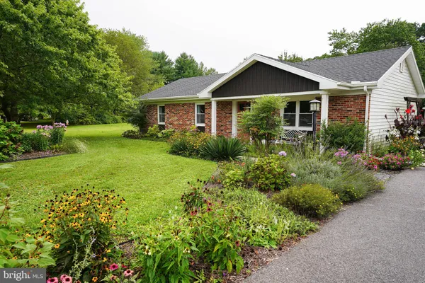 a view of a backyard with plants and garden