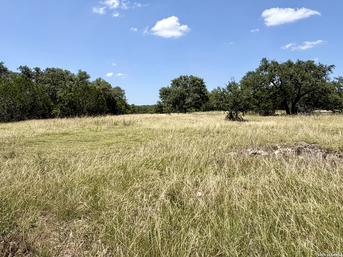 43-acres Sattler Road Spring Branch, TX 78070 - Photo 29 of 42 Gallery Image 29