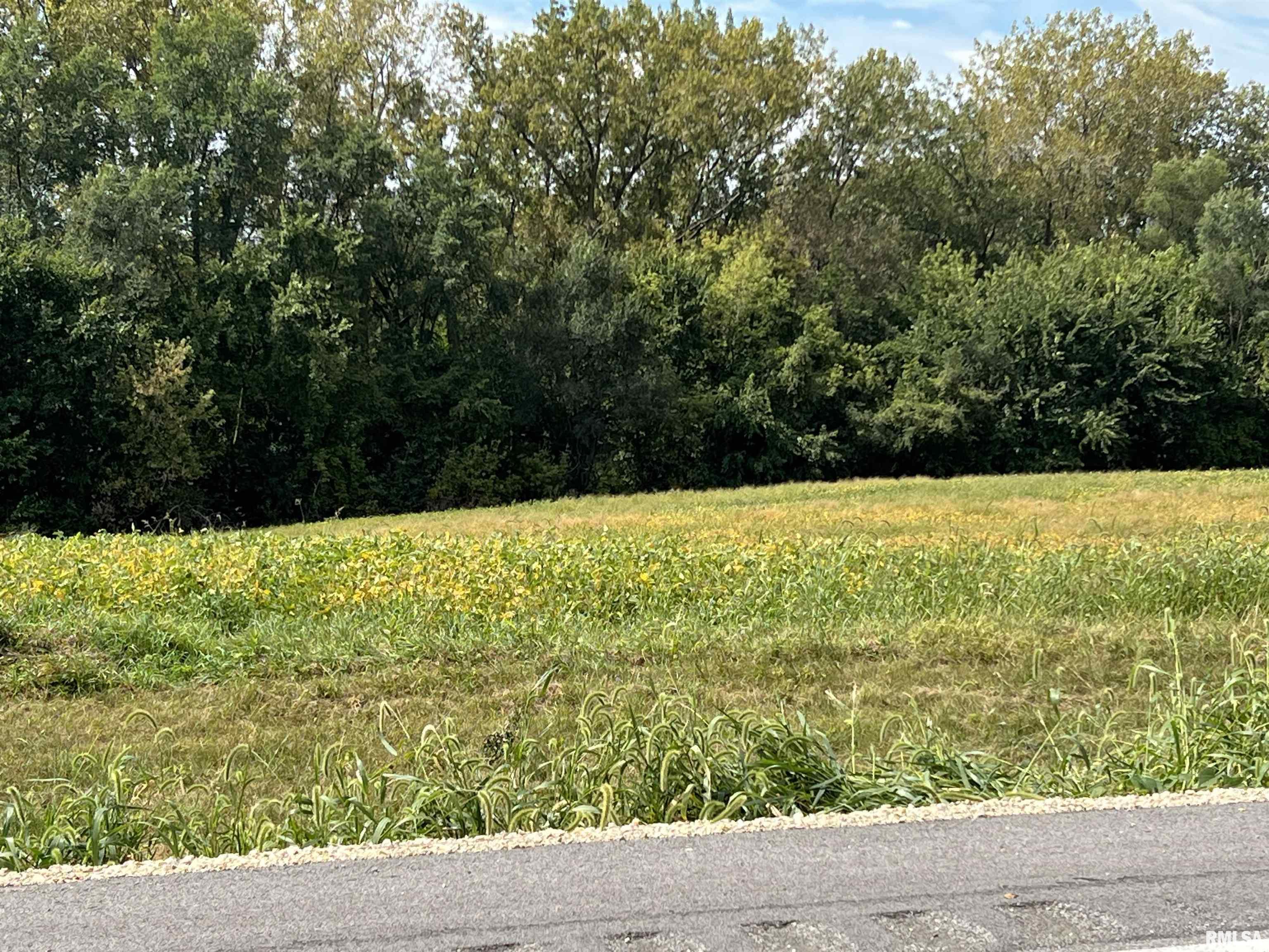 0 Wells Ferry Road Pleasant Valley, IA 52767 - Photo 3 of 11