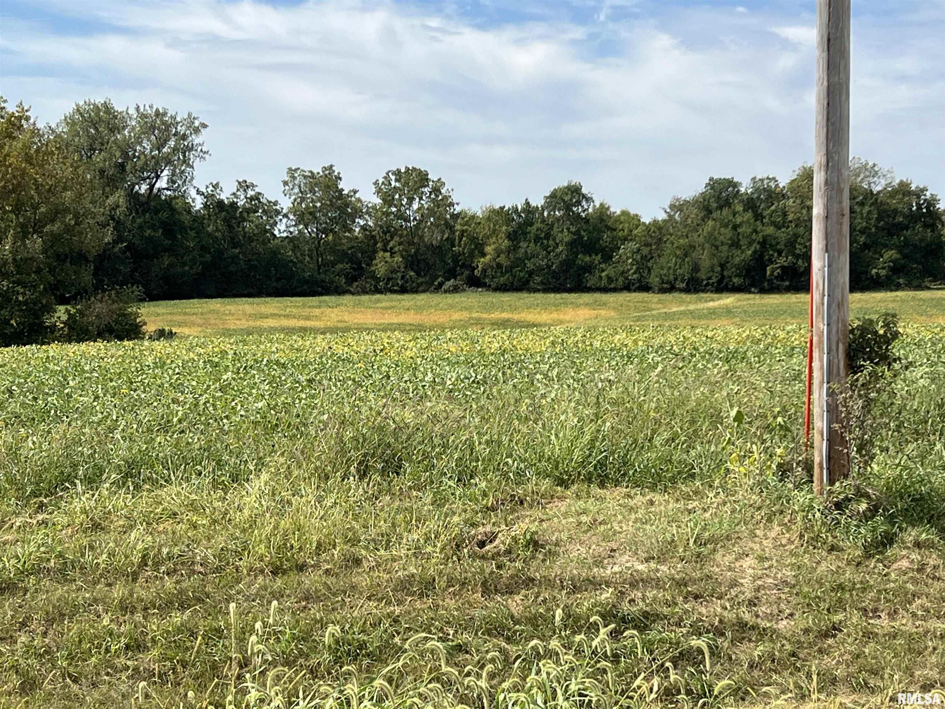 0 Wells Ferry Road Pleasant Valley, IA 52767 - Photo 6 of 11