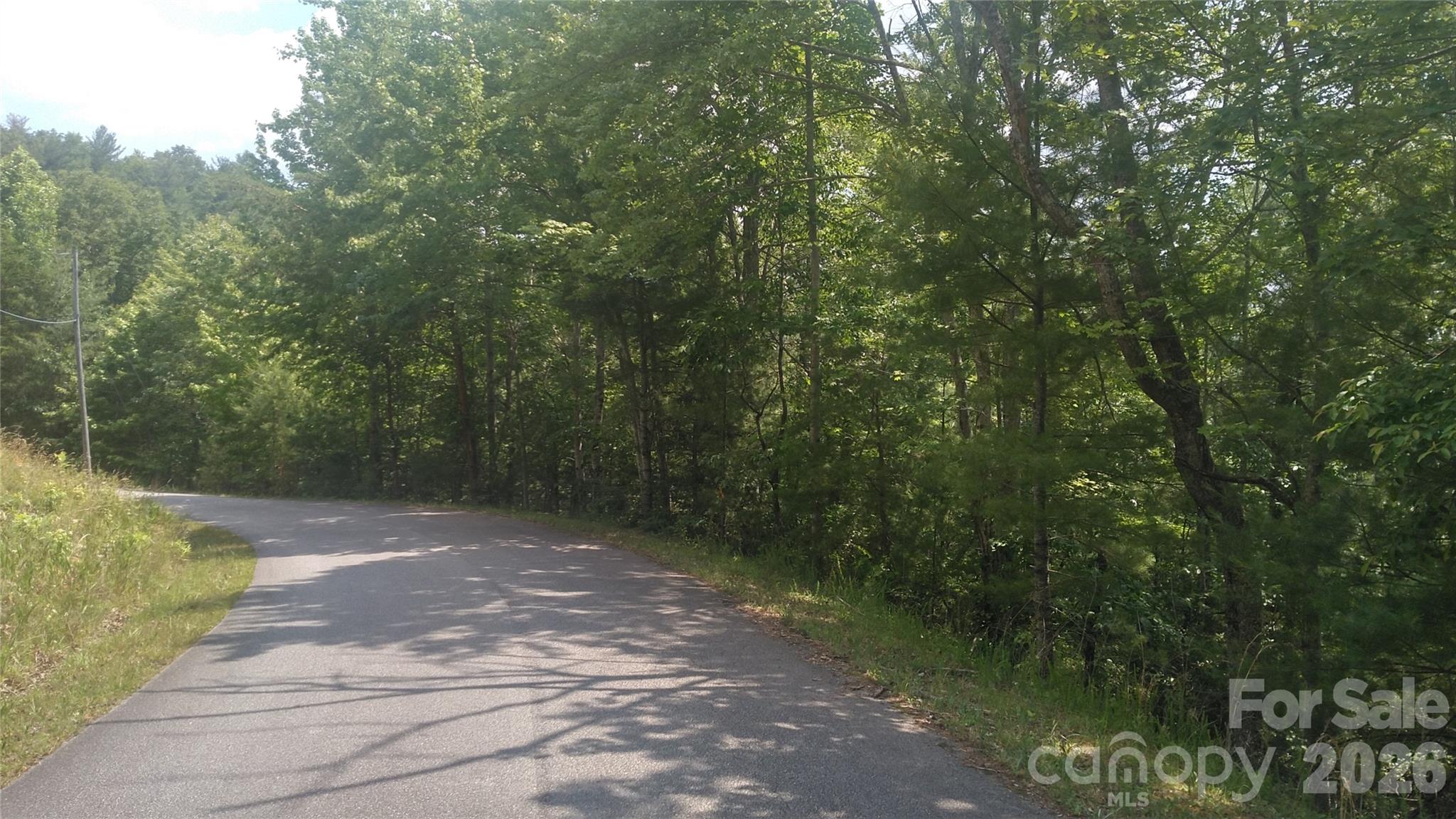Lot 17 Deer Ridge Trail Marion, NC 28752 - Photo 3 of 8