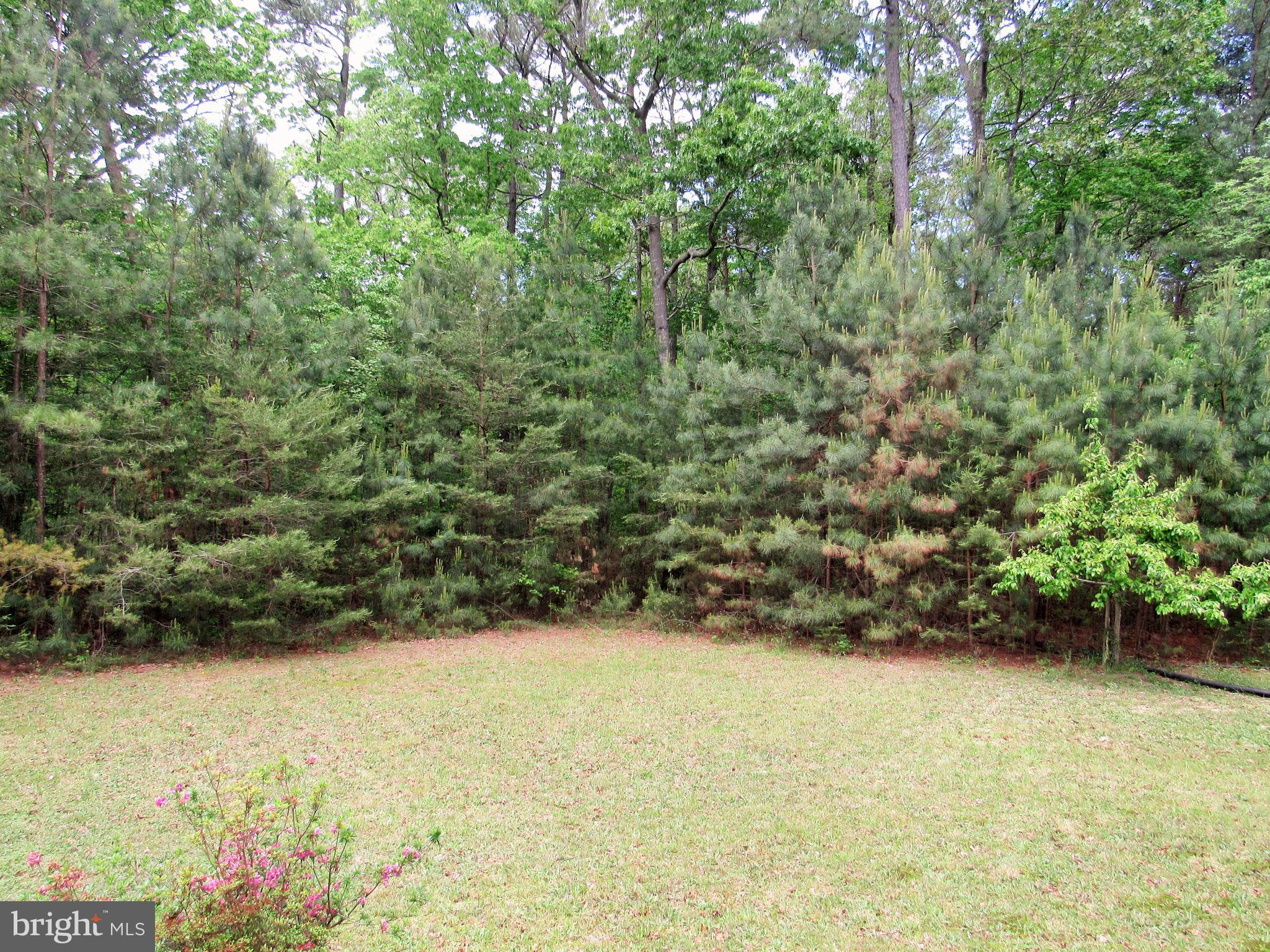 22609 Neptune Road Milton, DE 19968 - Photo 51 of 71 Gallery Image 51
