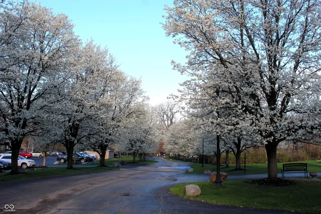 $164,900 | 6516 Emerald Hill Court, Unit 310, Indianapolis, IN 46237