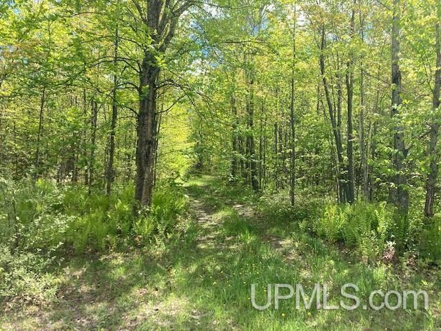 2 Boundary Road Chassell, MI 49916 - Photo 72 of 77