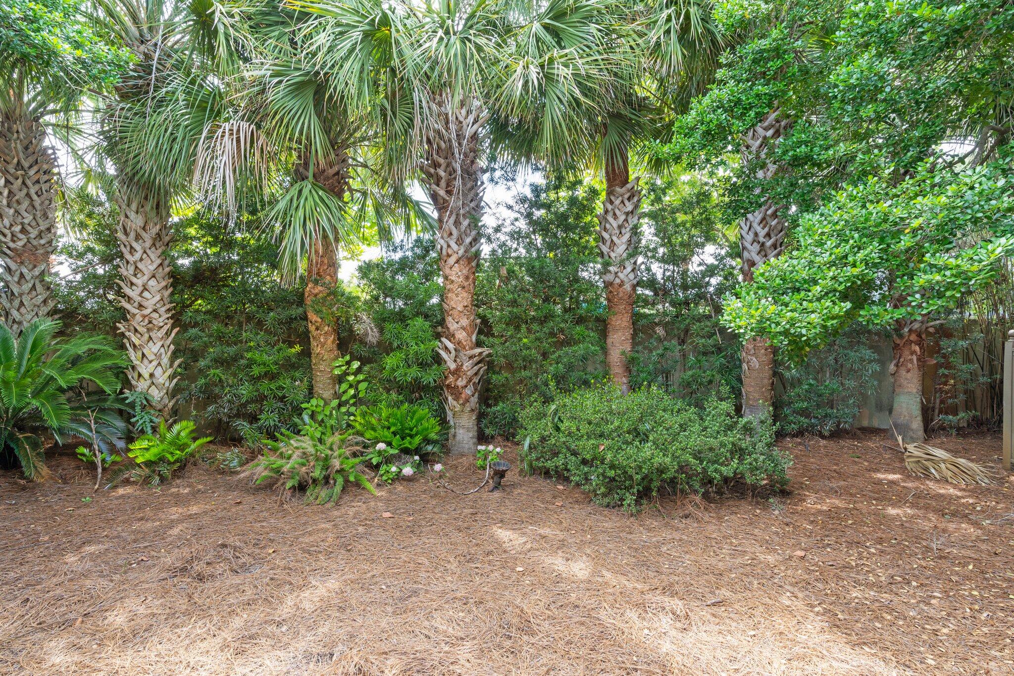 176 Rue Martine Miramar Beach, FL 32550 - Photo 54 of 82 50-web-or-mls-0050