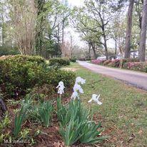 3054 Highway 24 McComb, MS 39648 - Photo 16 of 17 141570_26