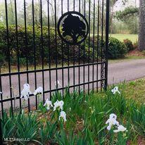 3054 Highway 24 McComb, MS 39648 - Photo 17 of 17 141570_25