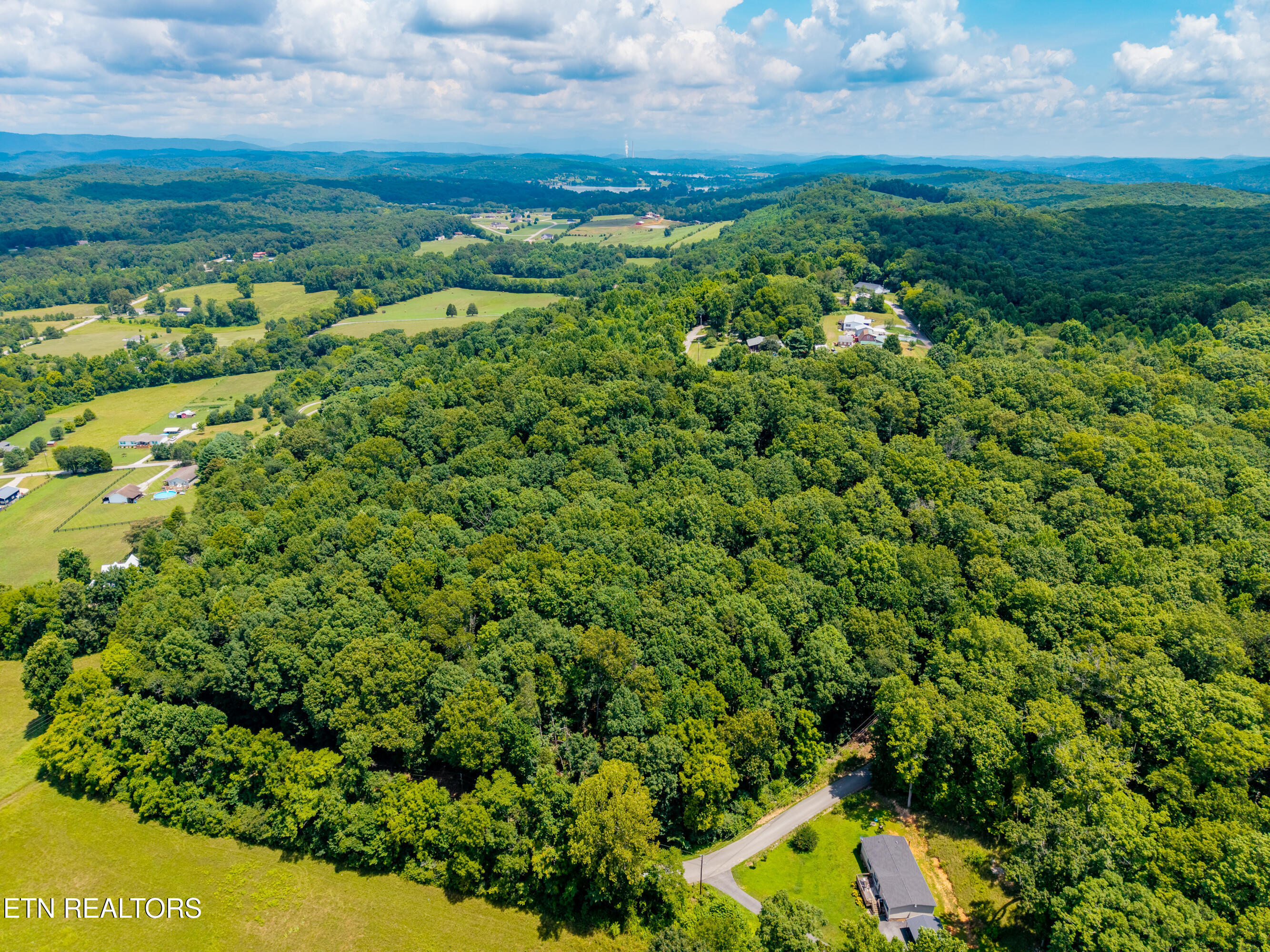 Lakescene Road Kingston, TN 37763 - Photo 22 of 24 Private East Tennessee Woodlands