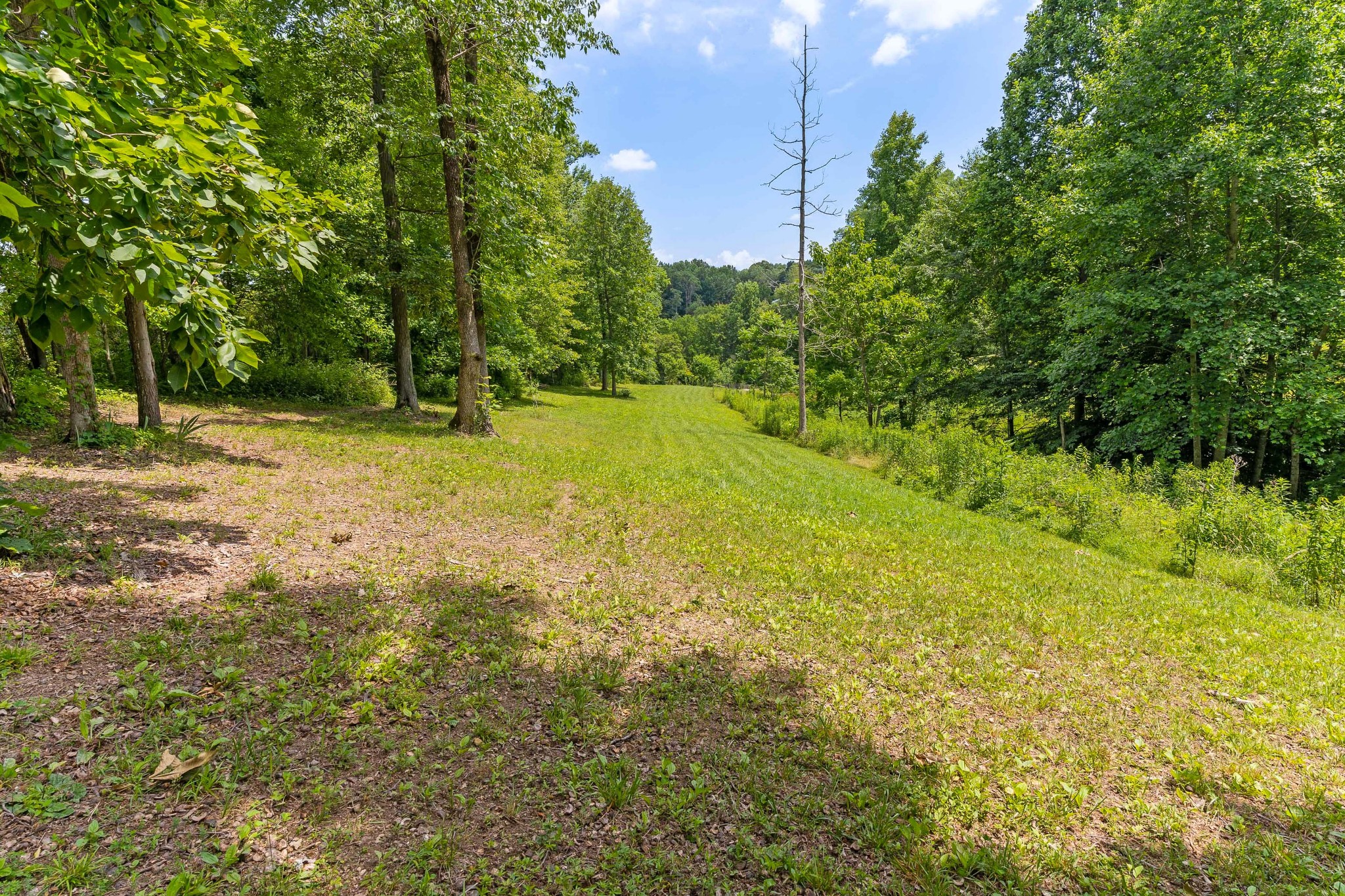 709 Hudson Road Red Boiling Springs, TN 37150 - Photo 25 of 25