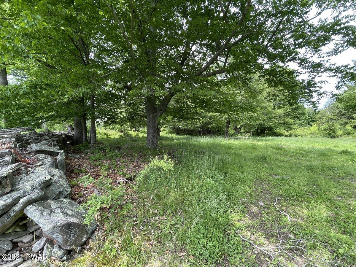 517 Ledgedale Road Lake Ariel, PA 18436 - Photo 19 of 34