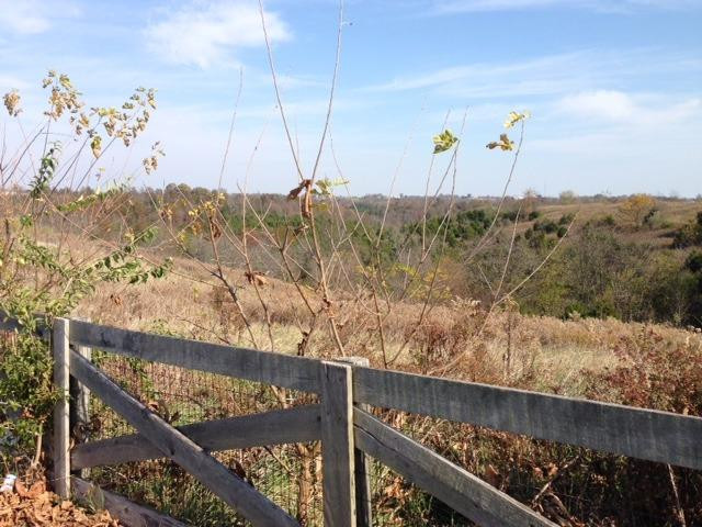 843 Kelly Ridge Road Brooksville, KY 41004 - Photo 14 of 23 Gallery Image 14