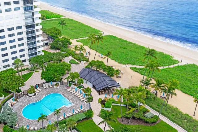 a view of a backyard with plants