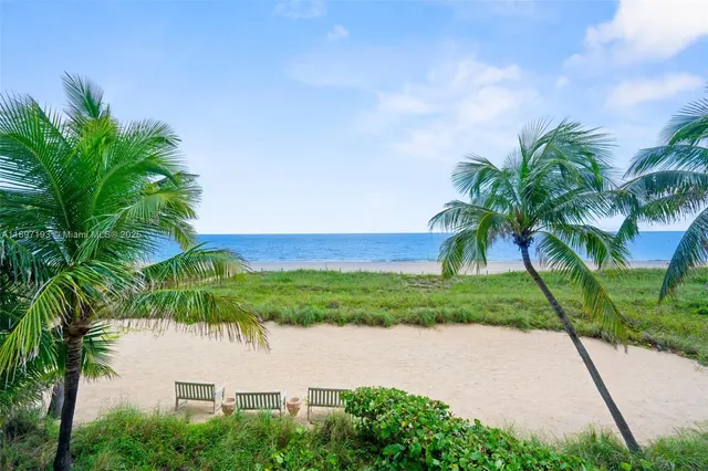 a view of a yard with palm plants